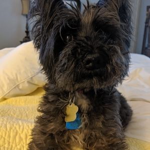 Meet your Posher, Marybeth